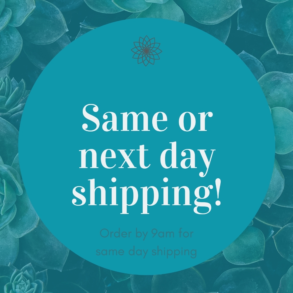 Fast shipping!